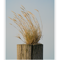 S7A705197.png