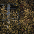 S7A706514.png